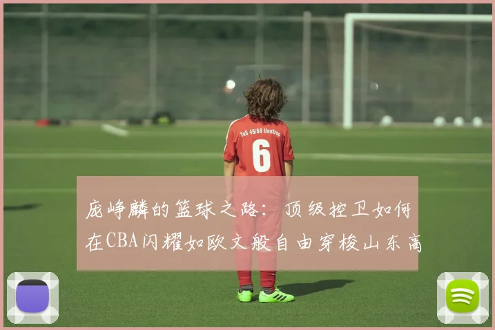 庞峥麟的篮球之路：顶级控卫如何在CBA闪耀如欧文般自由穿梭山东高速