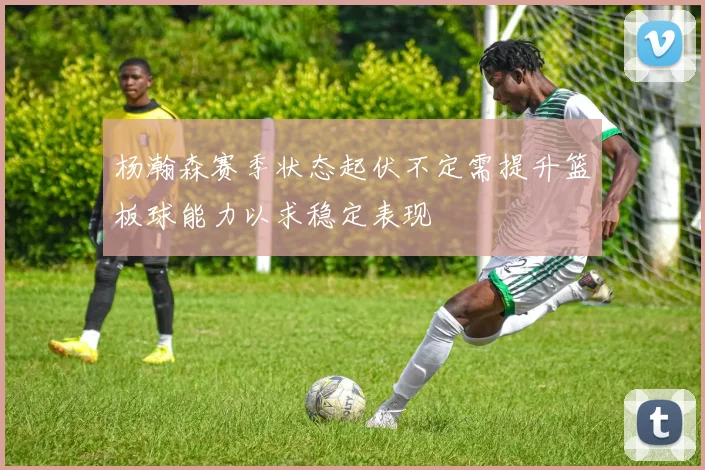 杨瀚森赛季状态起伏不定需提升篮板球能力以求稳定表现