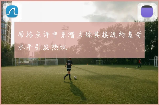 蒂格点评申京潜力称其接近约基奇水平引发热议
